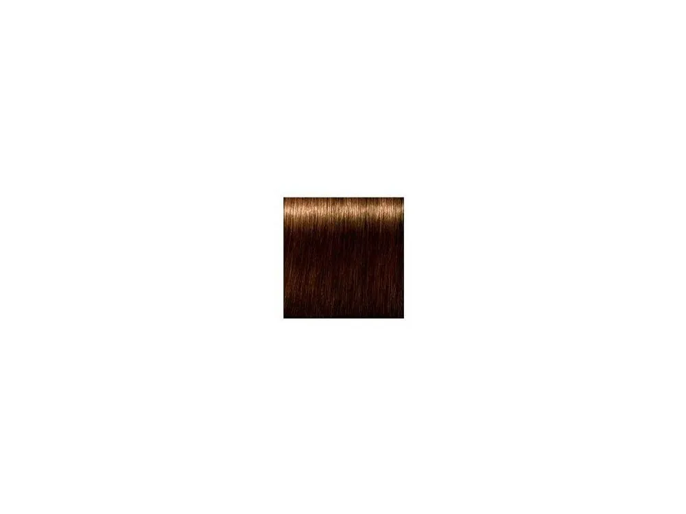 Nakupujte Hned SCHWARZKOPF Igora Royal Absolutes 60ml - světle hnědá přírodní zlatá 5-50