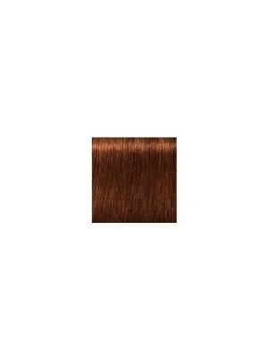 Finální Výprodej SCHWARZKOPF Igora Royal Absolutes 60ml - tmavá blond přírodní měděná 6-70