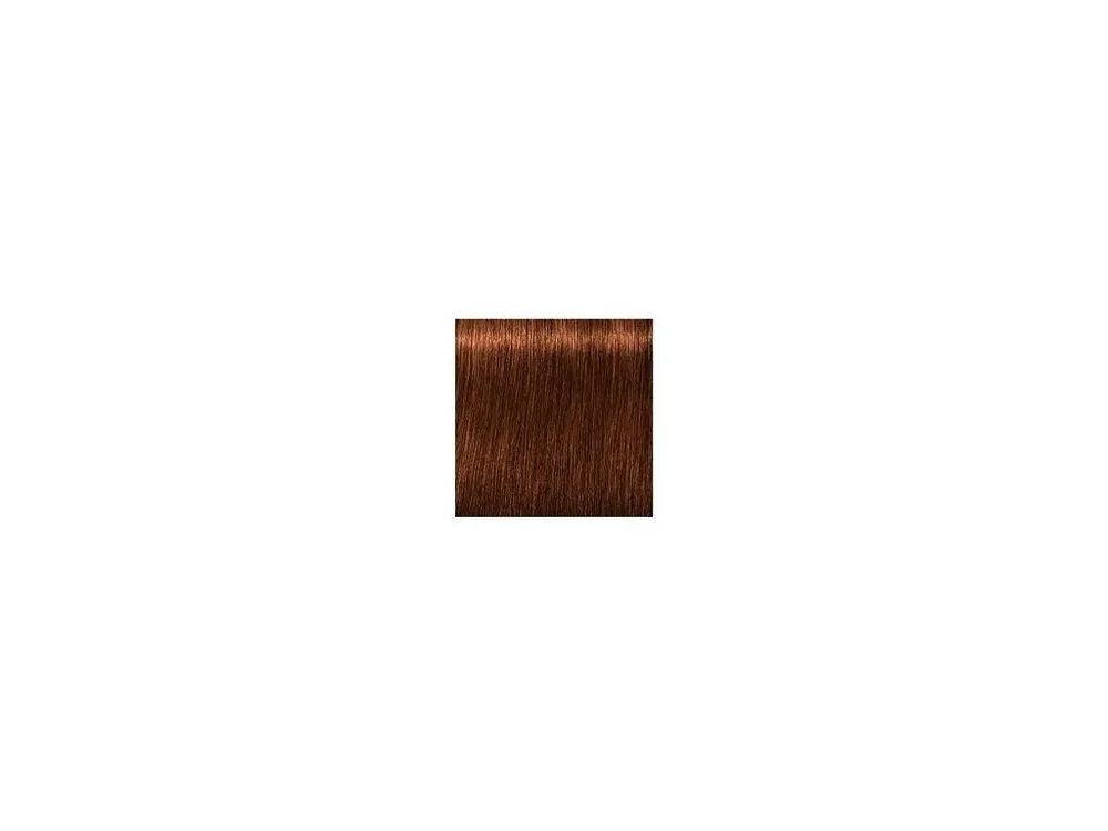 Finální Výprodej SCHWARZKOPF Igora Royal Absolutes 60ml - tmavá blond přírodní měděná 6-70