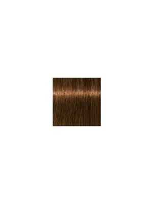 Super Cena SCHWARZKOPF Igora Royal Absolutes 60ml - tmavá blond přírodní zlatá 6-50