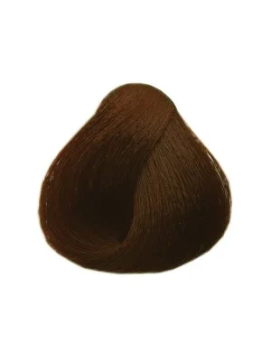 BLACK Sintesis Barva na vlasy 100ml - intenzivní tmavý blond 6-00 Expresní Doručení