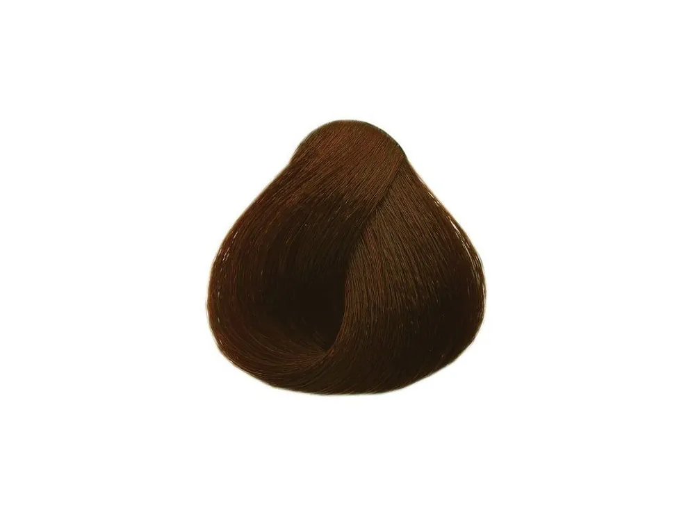 BLACK Sintesis Barva na vlasy 100ml - intenzivní tmavý blond 6-00 Expresní Doručení