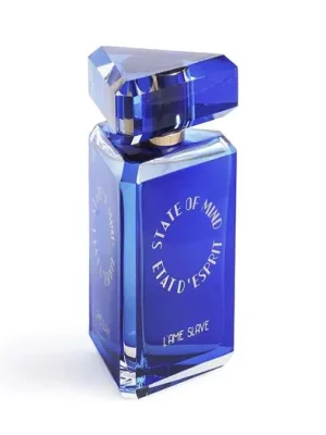 State of Mind L'Ame Slave EDP 100 ml UNISEX Cenový Hit