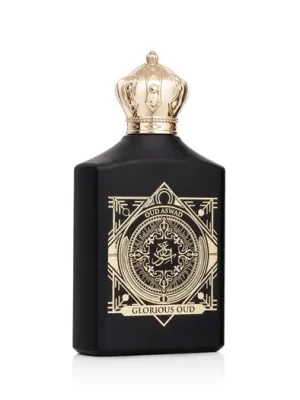 Omezená Nabídka House of Perfumes Oud Black EDP 100 ml UNISEX