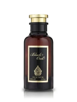 House of Perfumes Black Oud EDP 100 ml UNISEX Zlevněný
