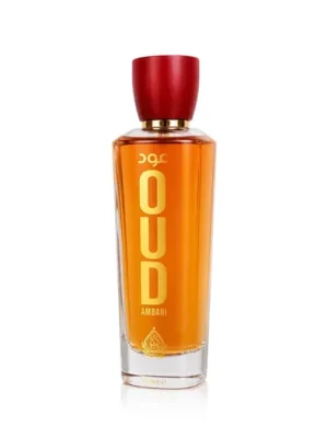 House of Perfumes Oud Ambari EDP 100 ml UNISEX Omezená Nabídka