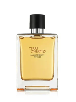Hermès Terre d’Hermès Intense EDP Intense plnitelný 100 ml M Poslední Šance