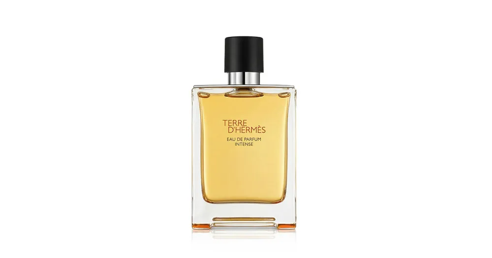 Hermès Terre d’Hermès Intense EDP Intense plnitelný 100 ml M Poslední Šance