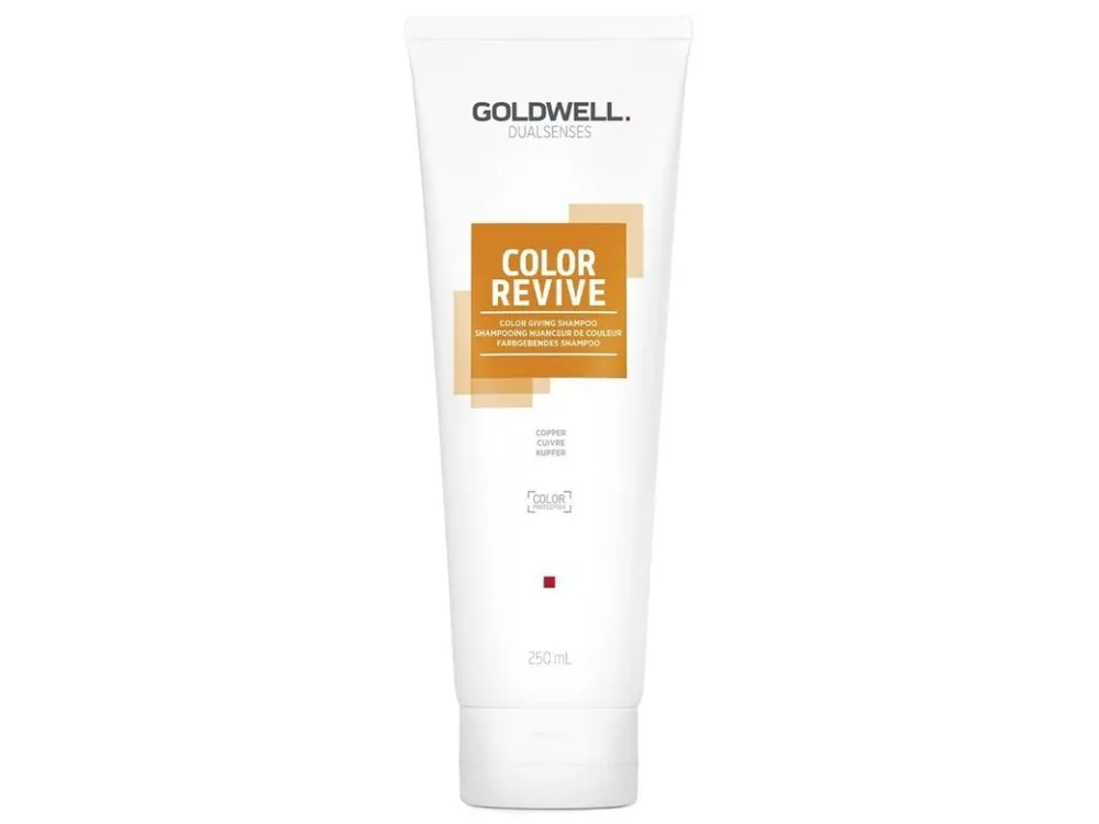 Odeslání Ihned GOLDWELL Dualsenses Color Revive Shampoo 250ml - barevný šampon - Copper
