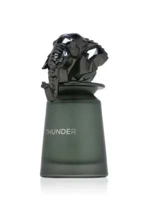 French Avenue Thunder EDP 100 ml M Cenová Bomba