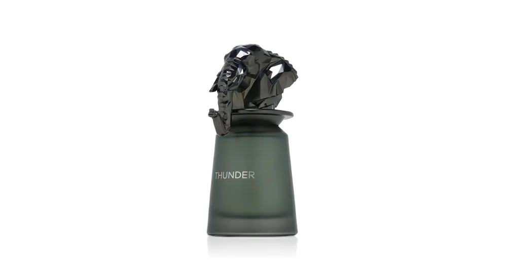 French Avenue Thunder EDP 100 ml M Cenová Bomba