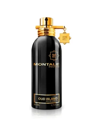 Ihned K Objednání Montale Paris Oud Island EDP 50 ml UNISEX